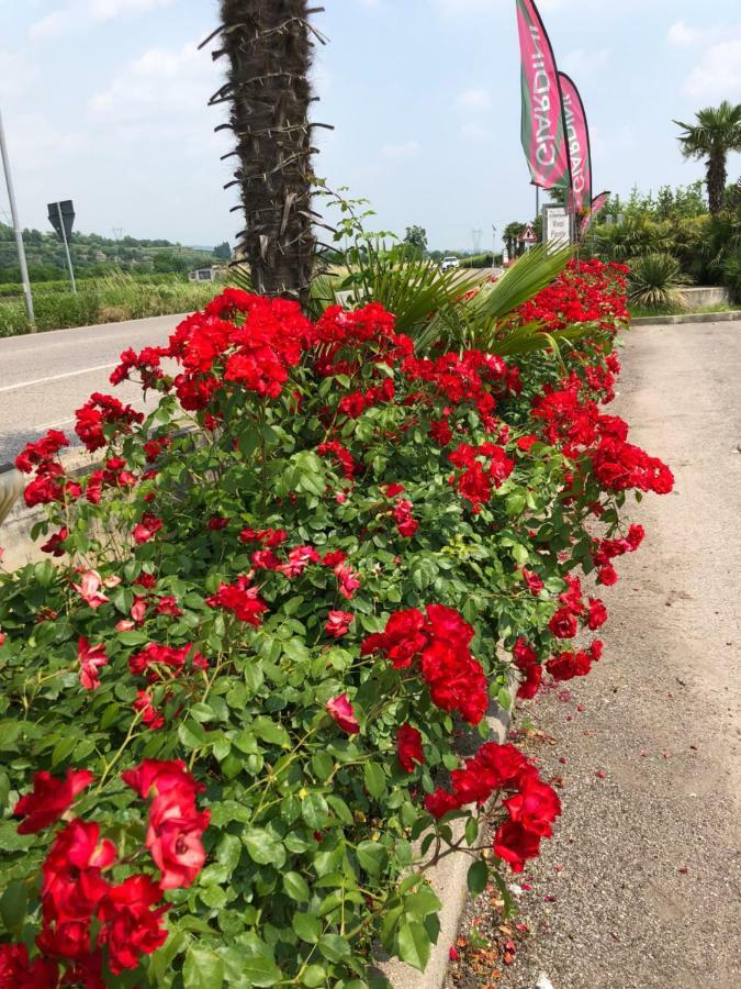 Appartamento Rosegarden Pescantina Exterior photo